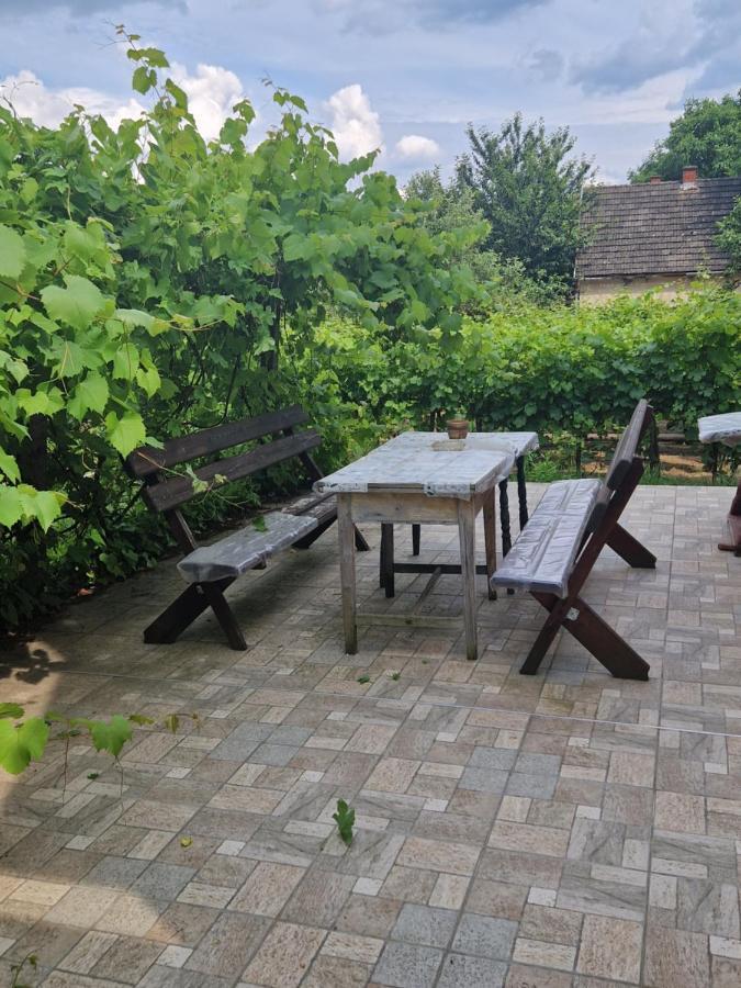 Berger Pince-Vendeghaz, Hajosi Pincek Hotel Luaran gambar